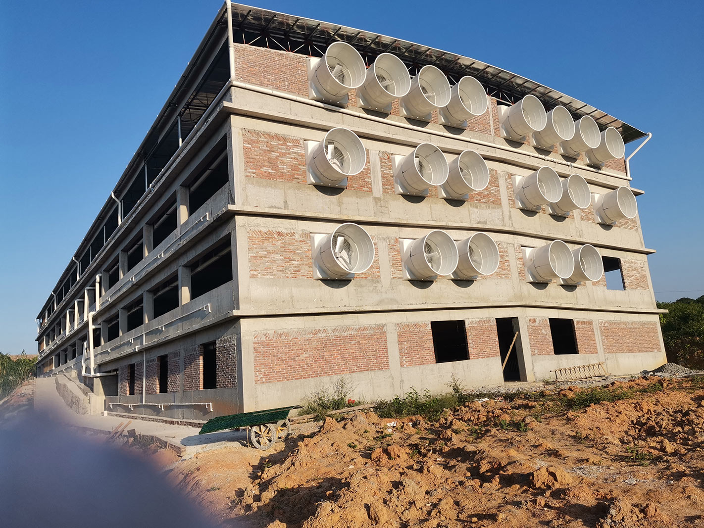 肇慶養(yǎng)豬場(chǎng)環(huán)境空間通風(fēng)降溫案例